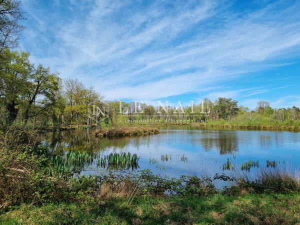 Propriété de 237 hectares en Sologne, avec de nombreux étangs, dédiée à la chasse et à l'agriculture