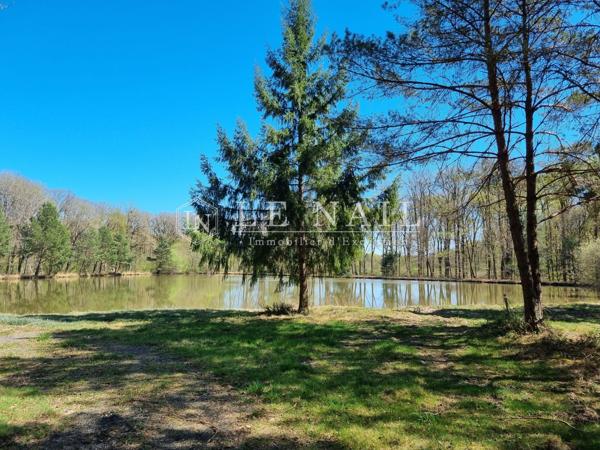 Propriété de 237 hectares en Sologne, avec de nombreux étangs, dédiée à la chasse et à l'agriculture
