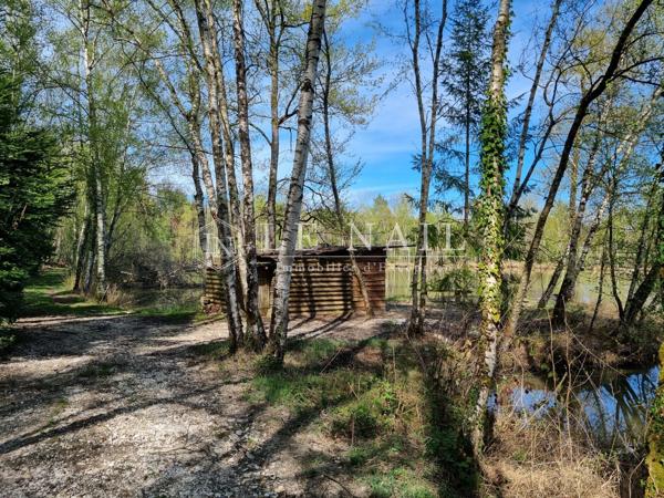Propriété de 237 hectares en Sologne, avec de nombreux étangs, dédiée à la chasse et à l'agriculture