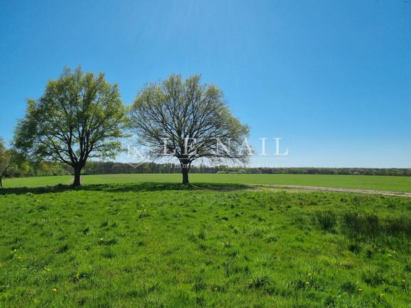 Propriété de 237 hectares en Sologne, avec de nombreux étangs, dédiée à la chasse et à l'agriculture