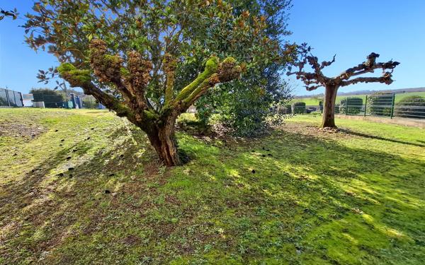 Maison à vendre    4 pièces •  Bessens