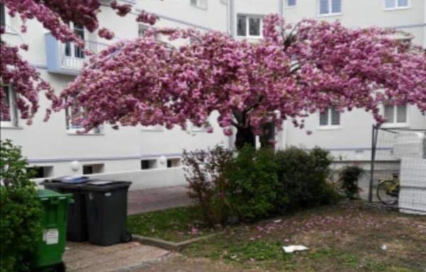 Appartement de 66 m²