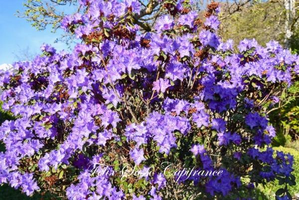 AUCUN (65), maison de charme cosy T5 avec vue panoramique exceptionnelle !