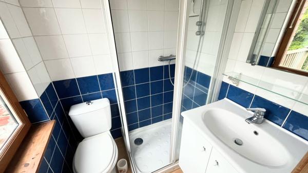 GRANDE MAISON FAMILIALE • LILLE JARDIN DES PLANTES • 200 m² • JARDIN 425 m²