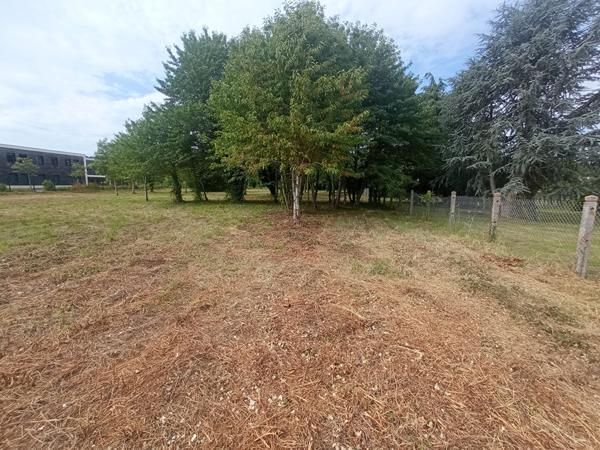 Terrain 1449 m2