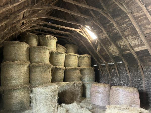 JOLIE GRANGE AVEC 1HECTARE DE TERRAIN Chalvignac (15200)