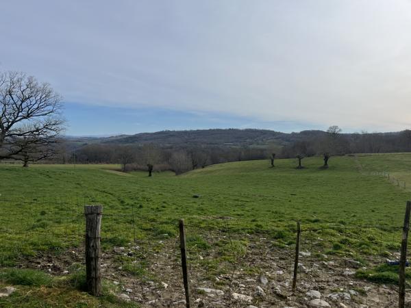JOLIE GRANGE AVEC 1HECTARE DE TERRAIN Chalvignac (15200)