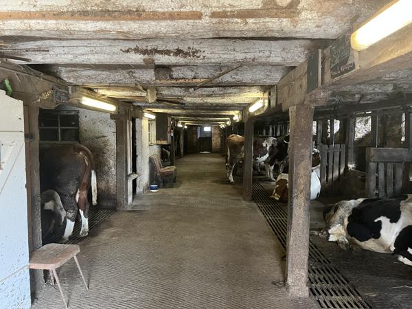 JOLIE GRANGE AVEC 1HECTARE DE TERRAIN Chalvignac (15200)