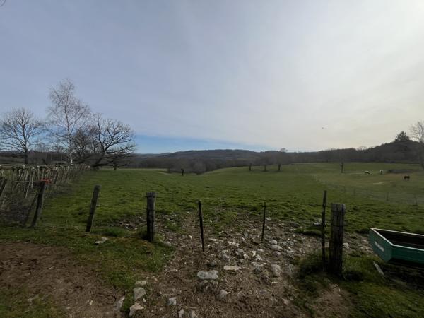 JOLIE GRANGE AVEC 1HECTARE DE TERRAIN Chalvignac (15200)