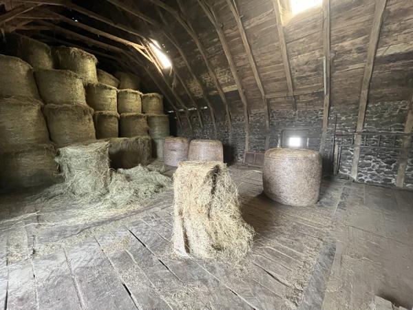 JOLIE GRANGE AVEC 1HECTARE DE TERRAIN Chalvignac (15200)