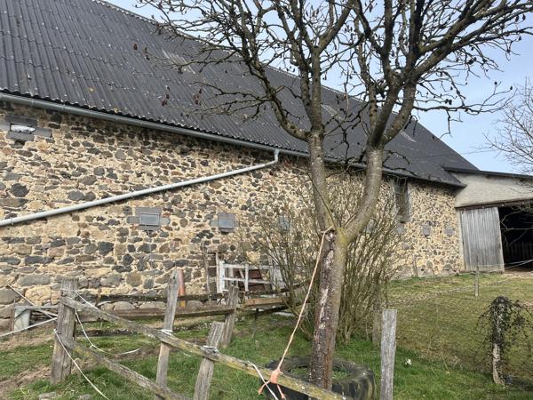 JOLIE GRANGE AVEC 1HECTARE DE TERRAIN Chalvignac (15200)