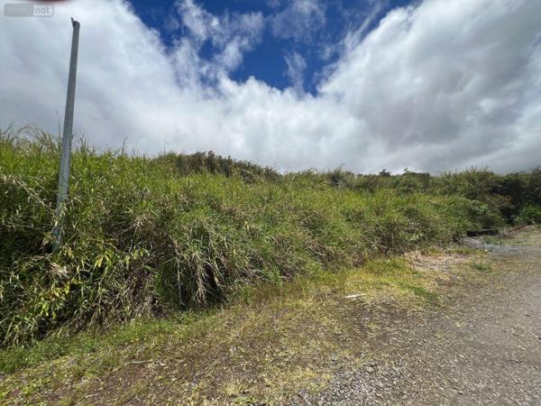 Terrain à Batir à vendre à La Plaine-des-Palmistes à la Réunion (97431), ref : 97405/96