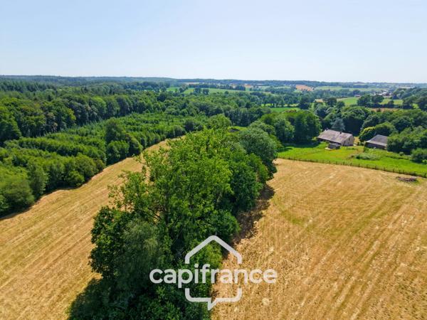 PROPRIÉTÉ DE CARACTÈRE SUR PLUS DE 9 HECTARES – MAISON EN PIERRE DE 235 M², APPARTEMENT INDÉPENDANT, DÉPENDANCE EN PIERRE, PRAIRIES, BOIS ET TROIS ÉTANGS – PROCHE LOUDÉAC