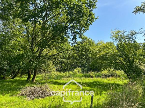 PROPRIÉTÉ DE CARACTÈRE SUR PLUS DE 9 HECTARES – MAISON EN PIERRE DE 235 M², APPARTEMENT INDÉPENDANT, DÉPENDANCE EN PIERRE, PRAIRIES, BOIS ET TROIS ÉTANGS – PROCHE LOUDÉAC