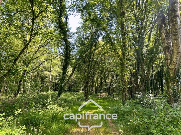 PROPRIÉTÉ DE CARACTÈRE SUR PLUS DE 9 HECTARES – MAISON EN PIERRE DE 235 M², APPARTEMENT INDÉPENDANT, DÉPENDANCE EN PIERRE, PRAIRIES, BOIS ET TROIS ÉTANGS – PROCHE LOUDÉAC