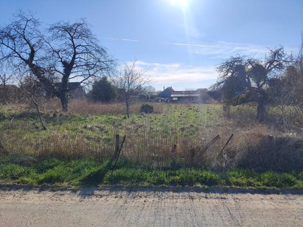 Grand terrain à bâtir plat.