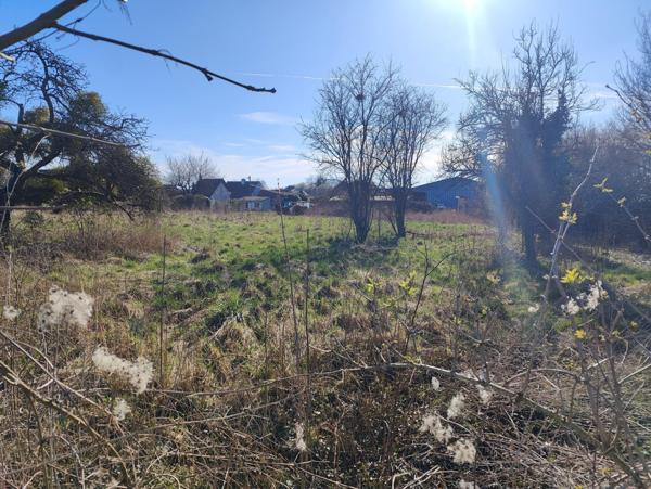 Grand terrain à bâtir plat.