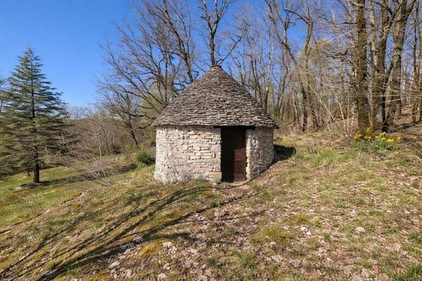 Vente                                                      Maison
                        
                     6 pièces                      165 m2                     à Salviac