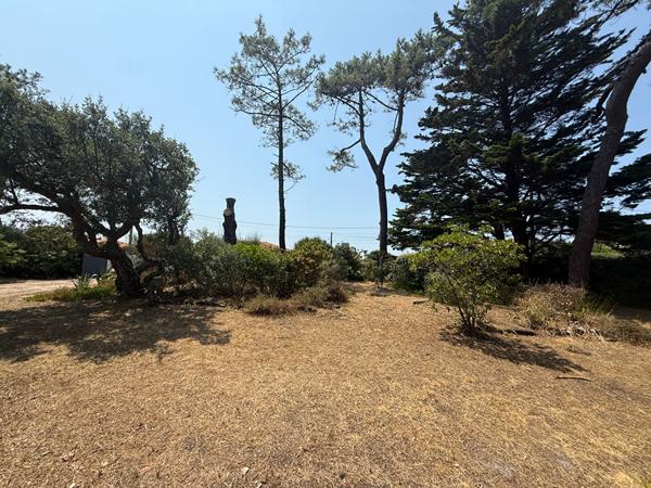 Terrain constructible à Vieux-Boucau, Opportunité rare !