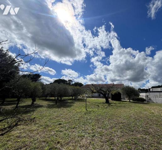 Belle construction traditionnelle sur près de 2 500 m² de terrain avec piscine