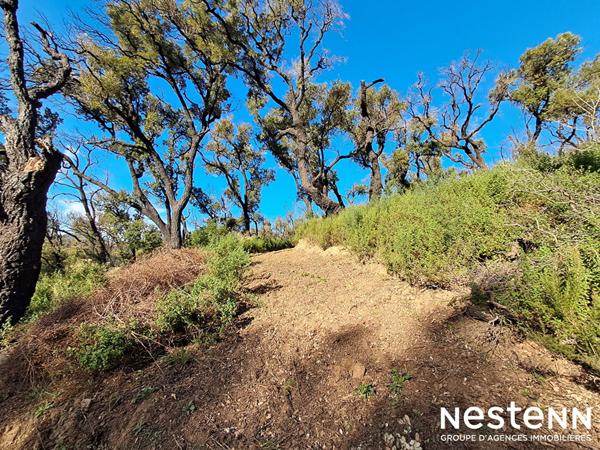 Terrain de 1800 m² en forêt
