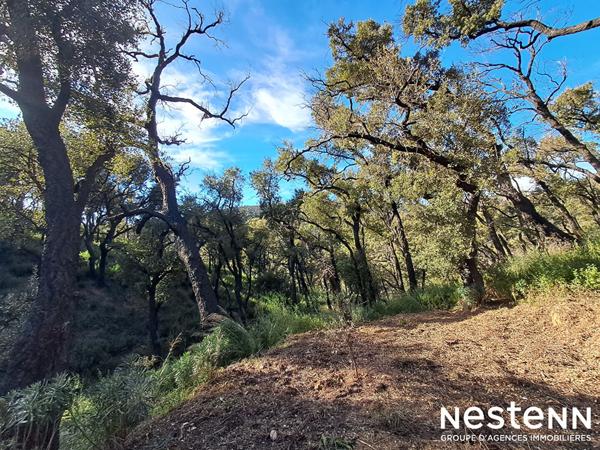 Terrain de 1800 m² en forêt