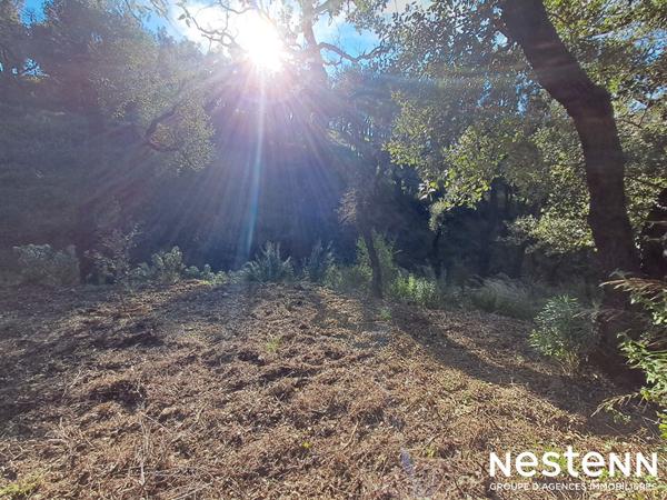 Terrain de 1800 m² en forêt
