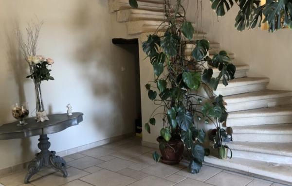 MAISON ET DOMAINE VITICOLE SUR 57 HECTARES - VIGNES EN AOP