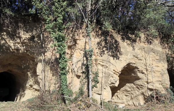 MAISON ET DOMAINE VITICOLE SUR 57 HECTARES - VIGNES EN AOP