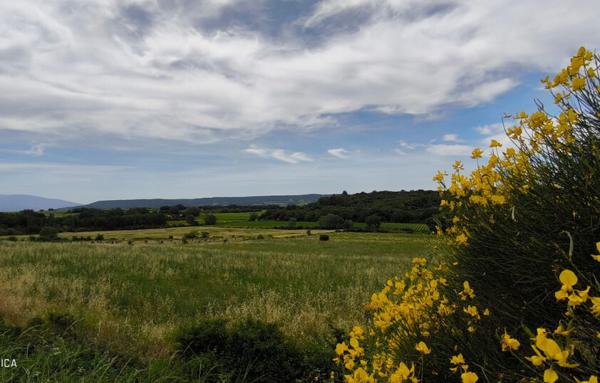 MAISON ET DOMAINE VITICOLE SUR 57 HECTARES - VIGNES EN AOP
