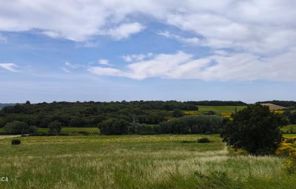 MAISON ET DOMAINE VITICOLE SUR 57 HECTARES - VIGNES EN AOP