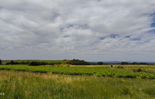 MAISON ET DOMAINE VITICOLE SUR 57 HECTARES - VIGNES EN AOP