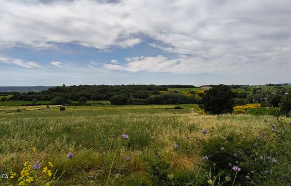 MAISON ET DOMAINE VITICOLE SUR 57 HECTARES - VIGNES EN AOP