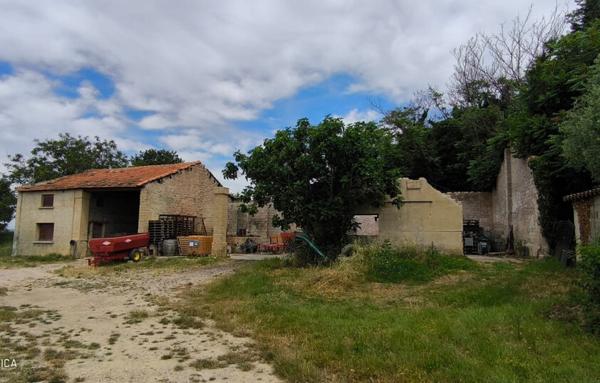 MAISON ET DOMAINE VITICOLE SUR 57 HECTARES - VIGNES EN AOP