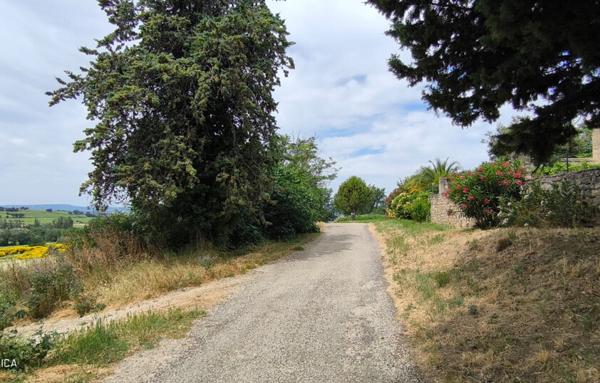 MAISON ET DOMAINE VITICOLE SUR 57 HECTARES - VIGNES EN AOP