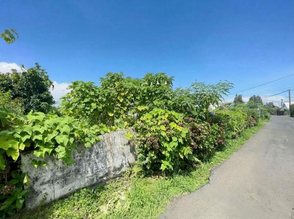 🌿 TERRAIN CONSTRUCTIBLE 1 427 m² – DIVISIBLE – ACCÈS DIRECT – 112,00 €/m2 – SAINT-JOSEPH