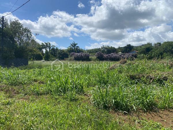 Terrain de 1 150 m²