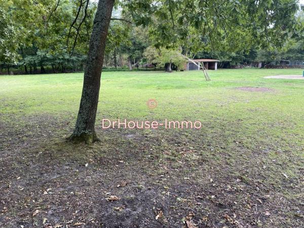 Terrain à vendre de 4 200 m²