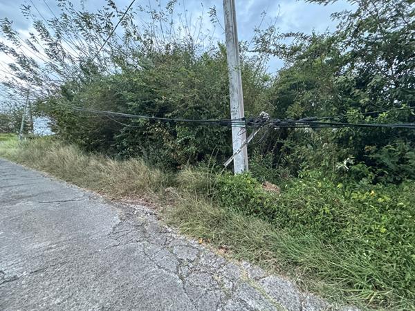 Achat terrain Le Marin - 2600 m² - 350 000 €