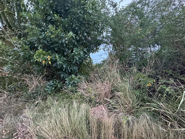 Achat terrain Le Marin - 2600 m² - 350 000 €