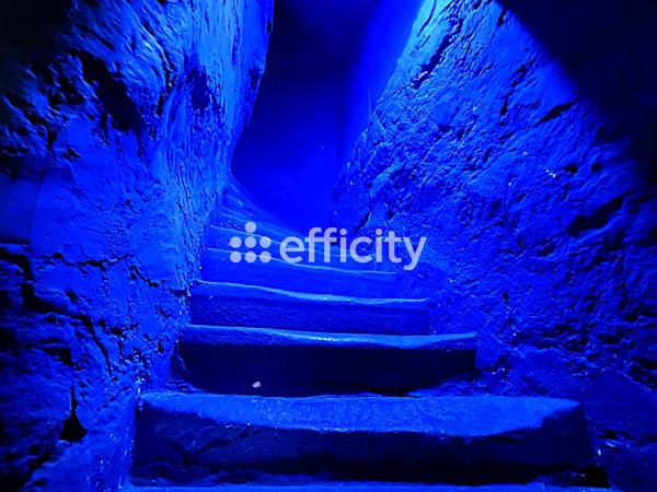 Appartement 4 pièces - 106 m² Exclusivité efficity