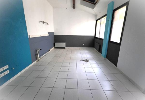 ensemble de bureau de 226 m² avec jardin
