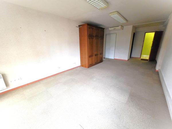 ensemble de bureau de 226 m² avec jardin