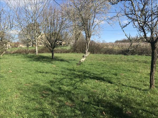 Maison à vendre |  Saint-Bonnet-sur-Gironde |  6 pièces | 173 m²