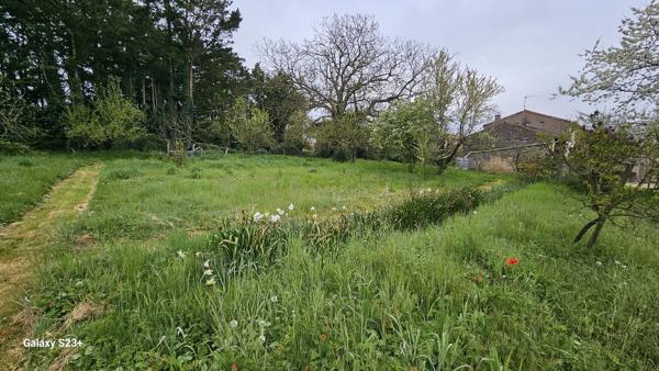 GRAND TERRAIN DE 2087 M² SITUE AU CALME D'UNE IMPASSE