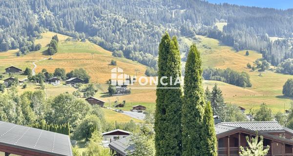 À vendre Studio 22.53 m² - Praz-sur-arly 74120