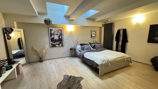 Saint-Étienne (42100) Tènement immobilier en duplex de 300m2 avec terrasse