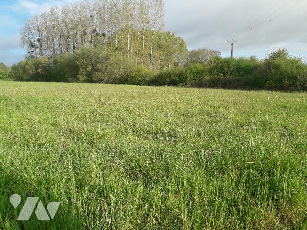 PROCHE CONTRES, 20 MNS SUD DE BLOIS