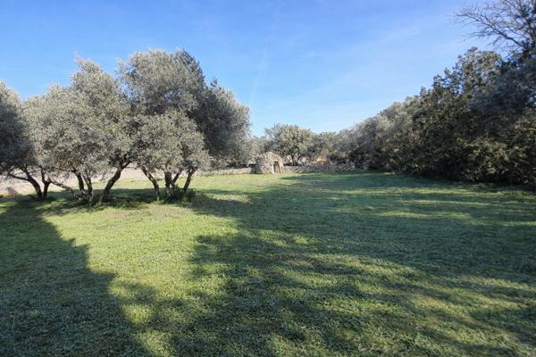 Cabrières-d'Avignon (84220) TERRAIN CONSTRUCTIBLE AVEC BORIE