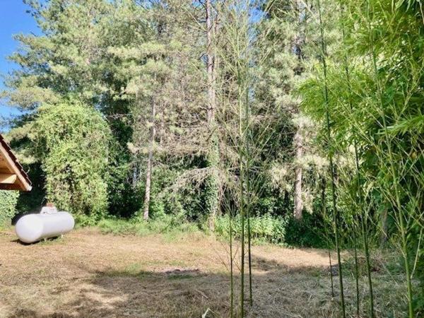 MAISON  A RENOVER SUR TERRAIN 3214 m2